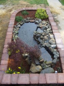 Pond-Patio project