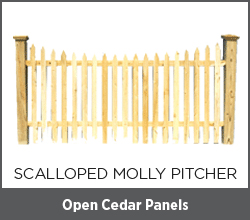Scalloped Molly Pitcher